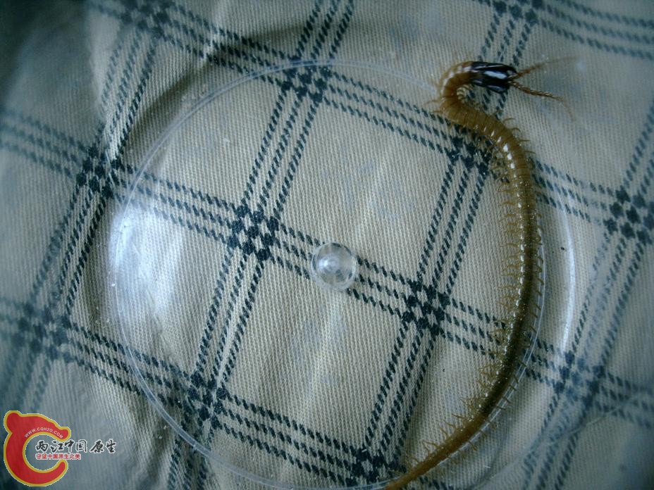 PHTO0089.JPG