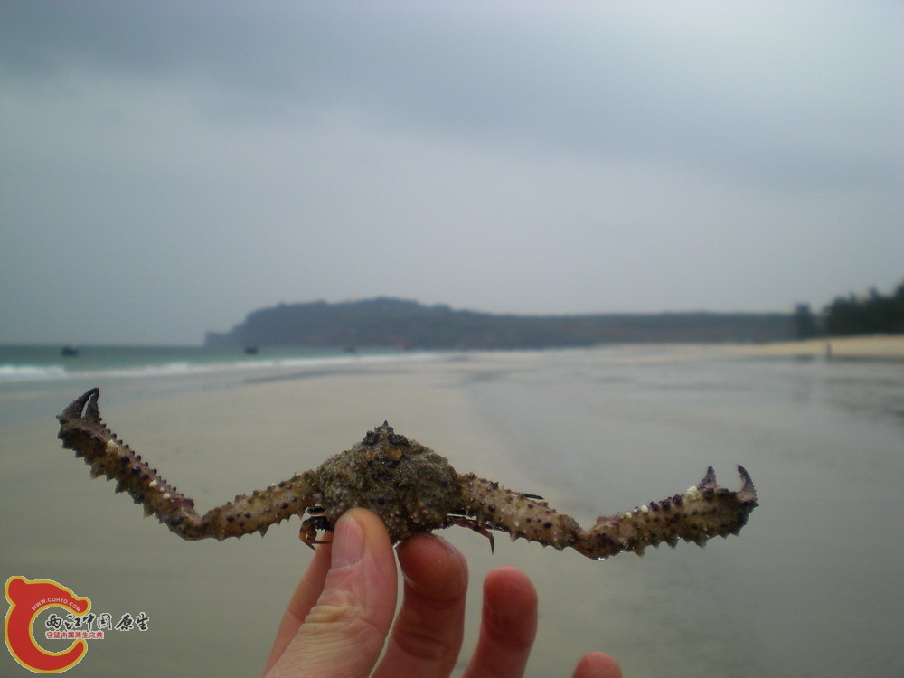 DSCN2258.jpg