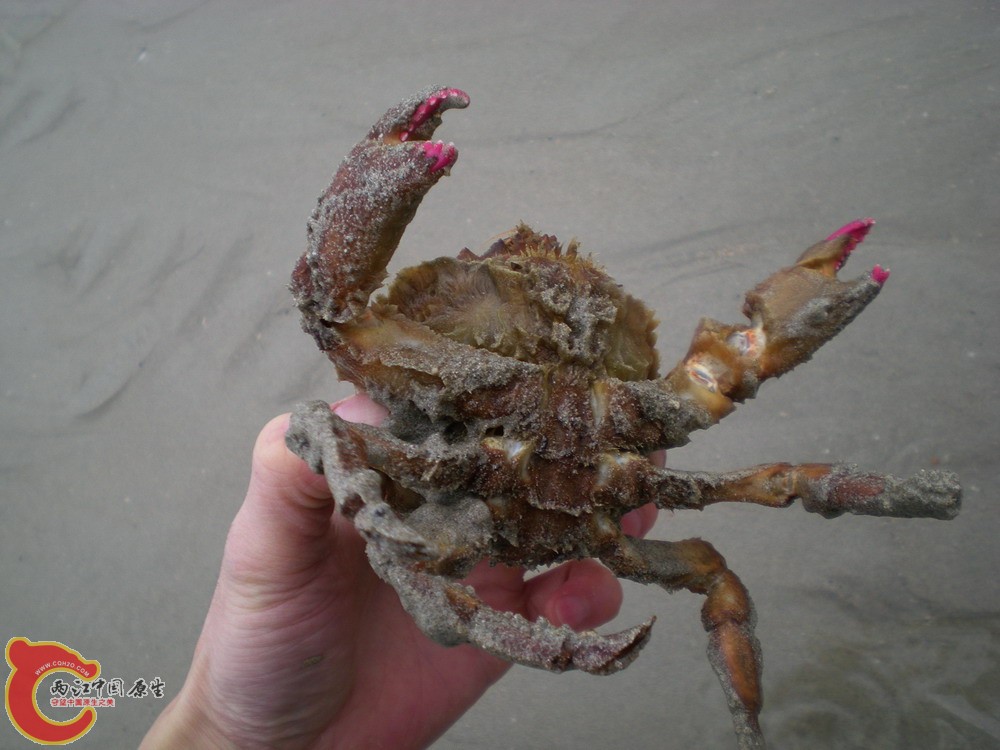 DSCN2290.jpg