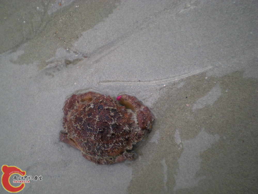 DSCN2289.jpg
