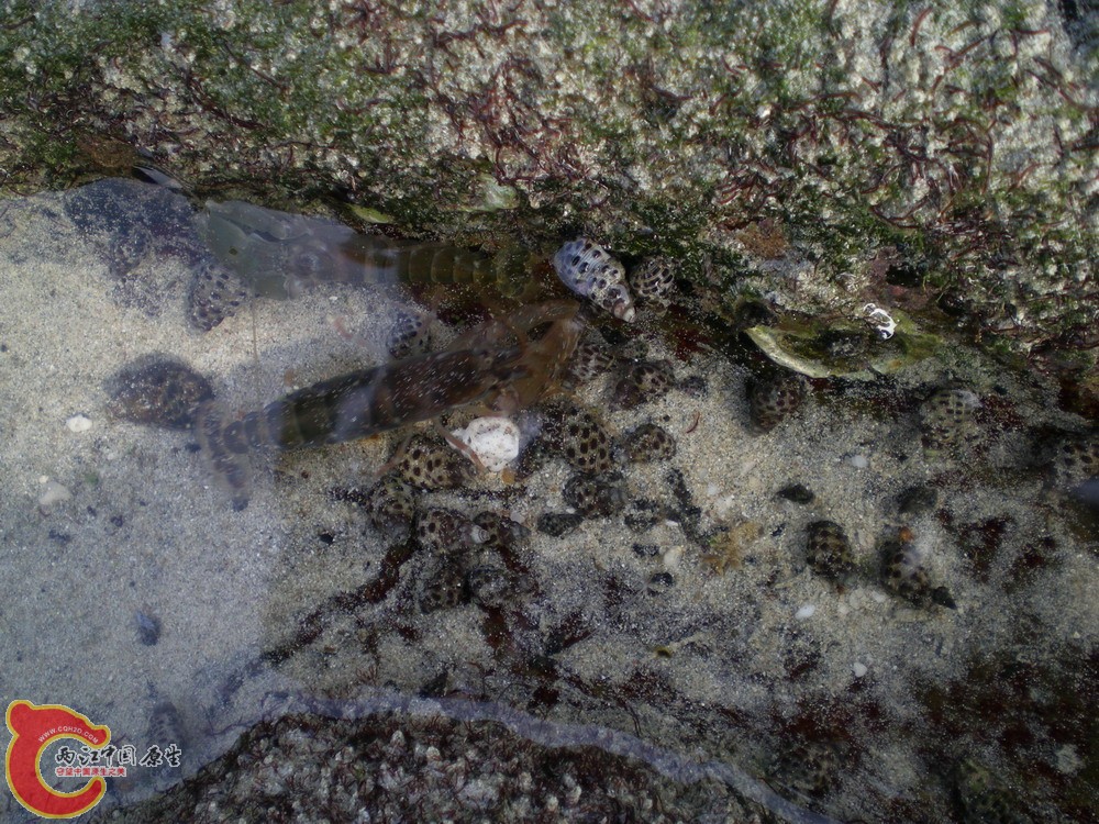 DSCN2403.jpg