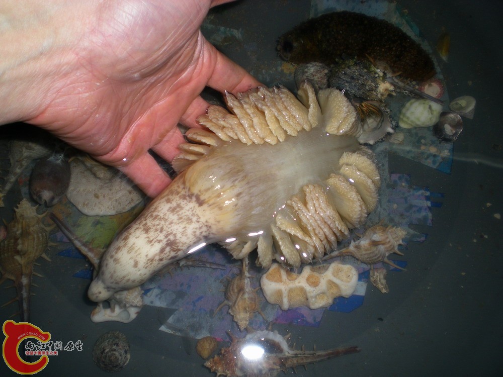 DSCN2350.jpg