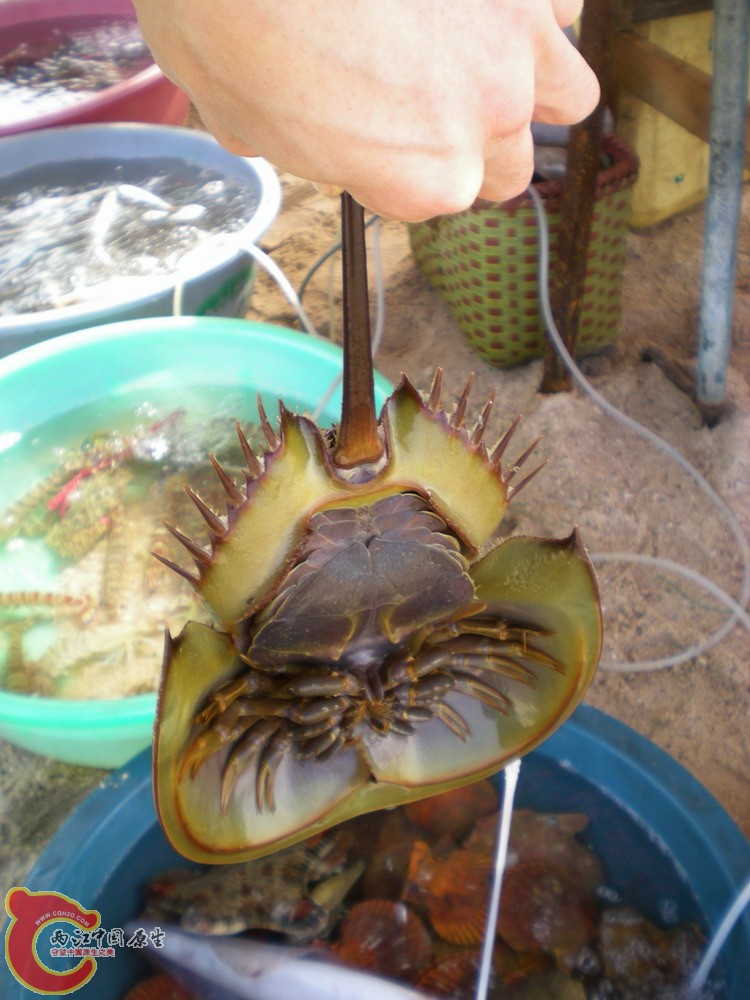 DSCN2479.jpg