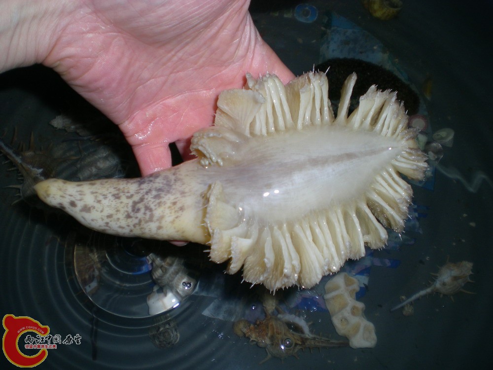 DSCN2351.jpg