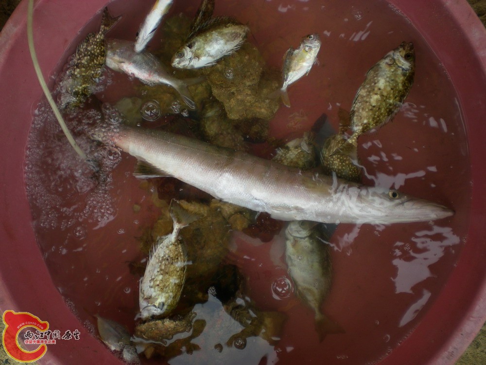 DSCN2498.jpg