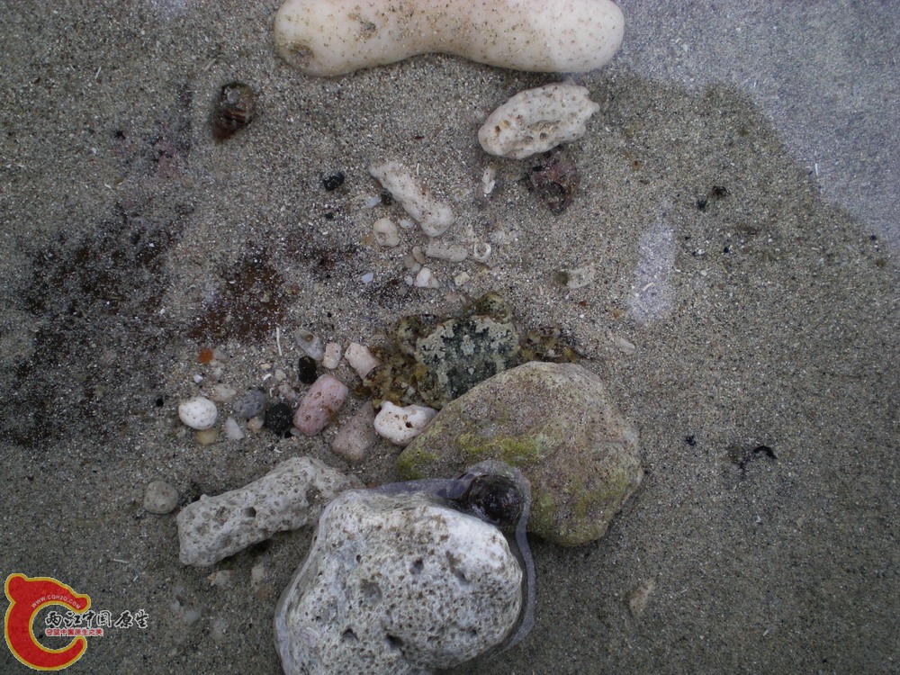 DSCN2305.jpg