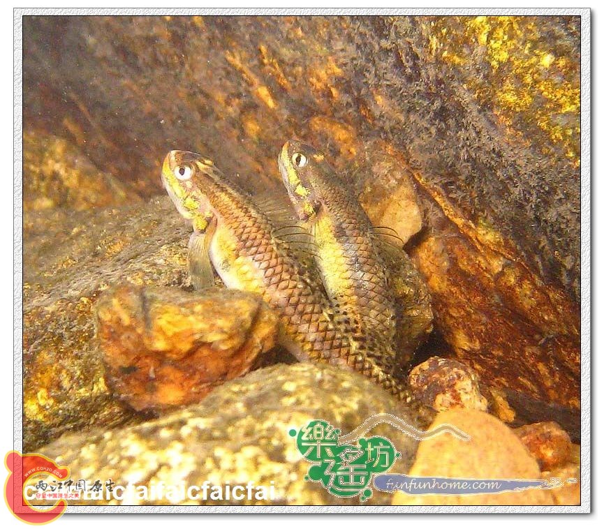 8387_nEO_IMG_nEO_IMG.jpg