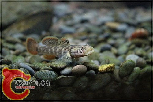 IMG_4641_nEO_IMG.jpg