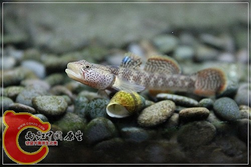 IMG_4610_nEO_IMG.jpg
