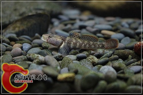 IMG_4567_nEO_IMG.jpg