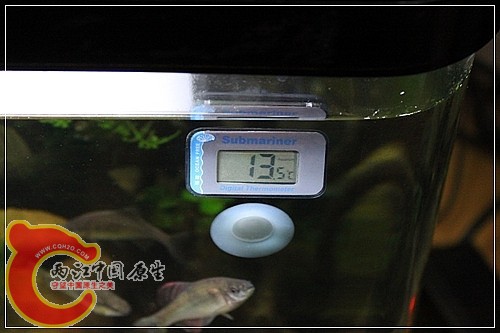 IMG_4588_nEO_IMG.jpg