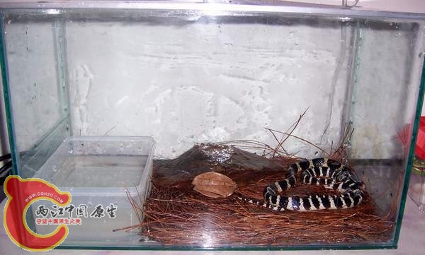 100_9410.JPG