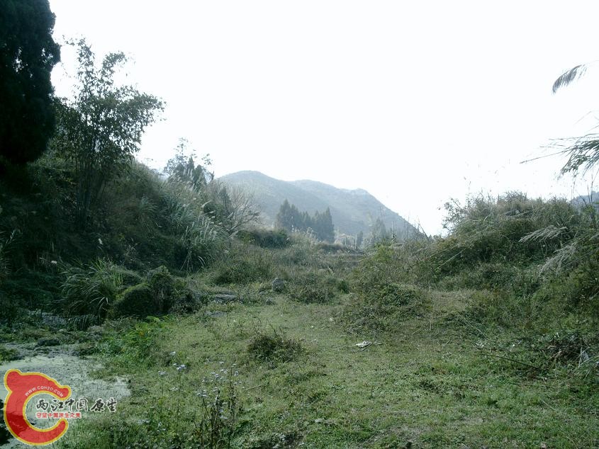 PHTO0095.JPG
