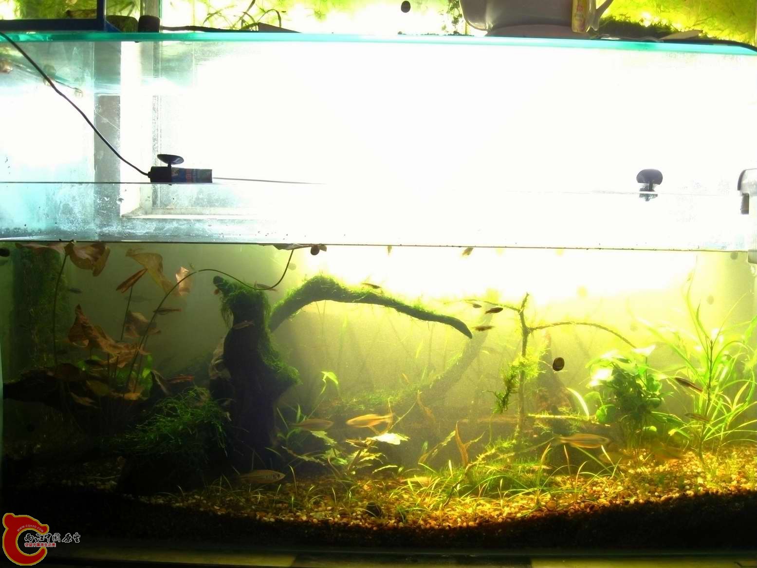 调整大小 照片 428.jpg