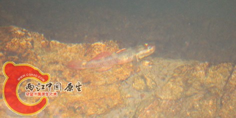 回歸