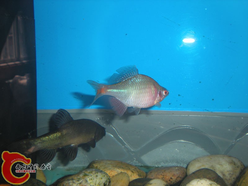 DSCN0221.jpg