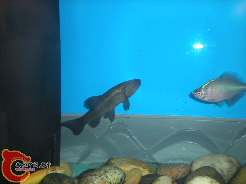 DSCN0236.jpg