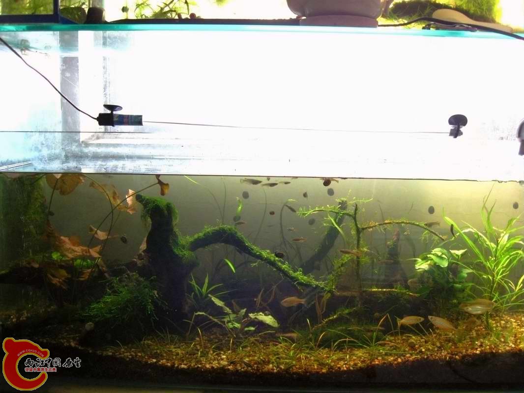 白天阳光不强烈时拍的