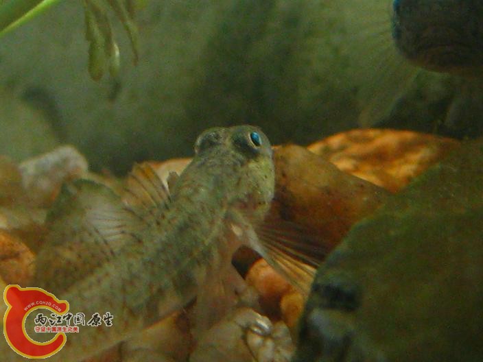 IMG_0151.JPG