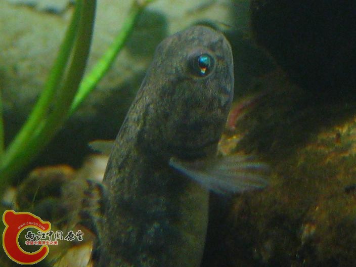 IMG_0166.JPG