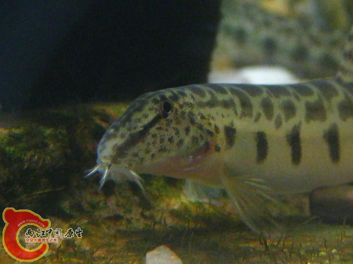 IMG_0181.JPG