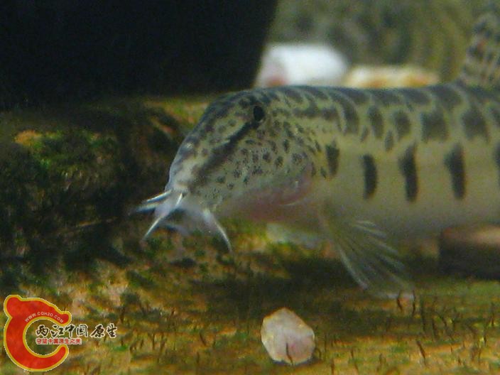 IMG_0182.JPG