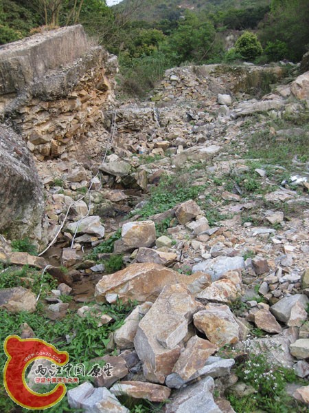 IMG_2314.jpg