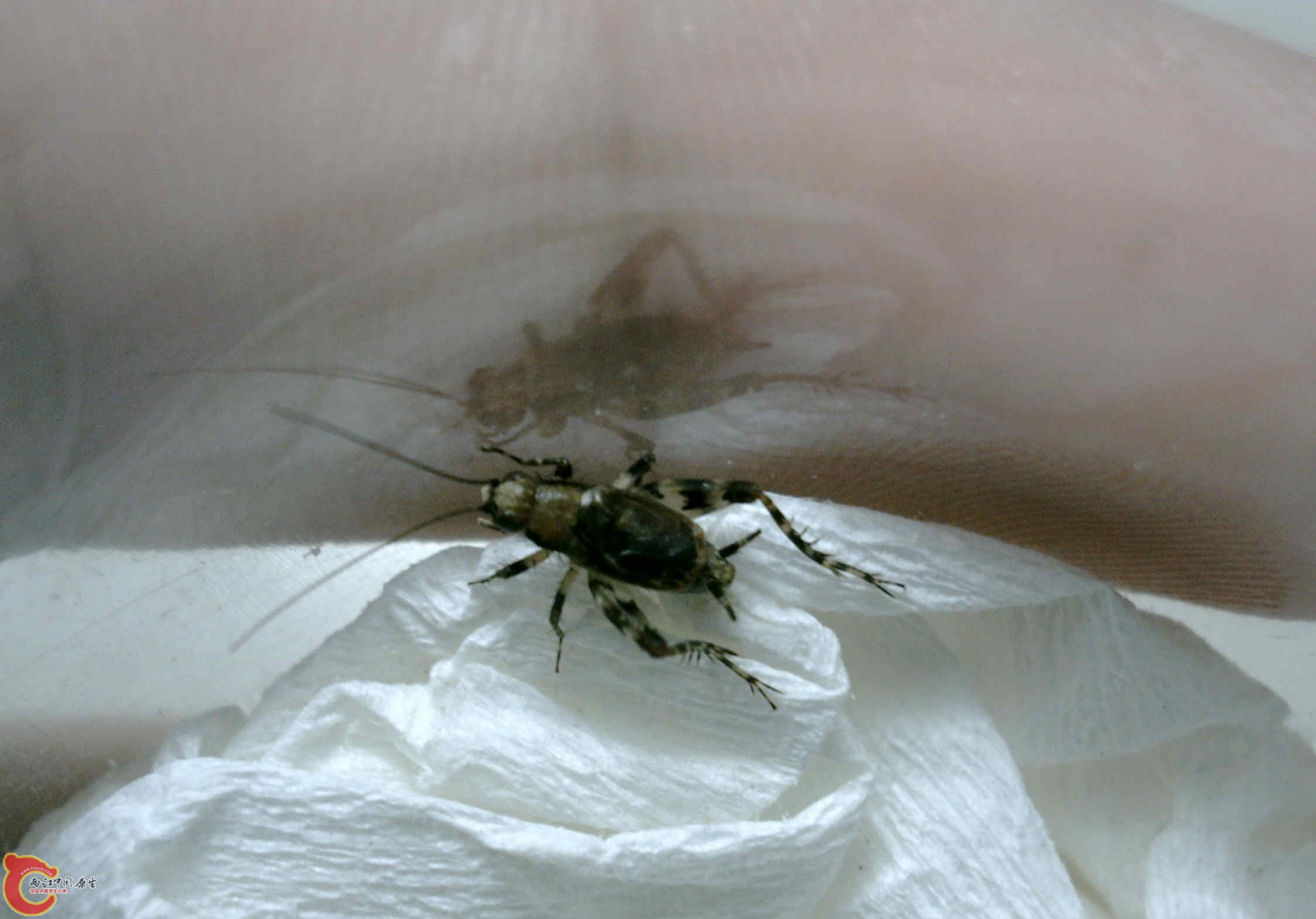 PHTO0112.jpg