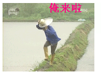 俺来了.gif