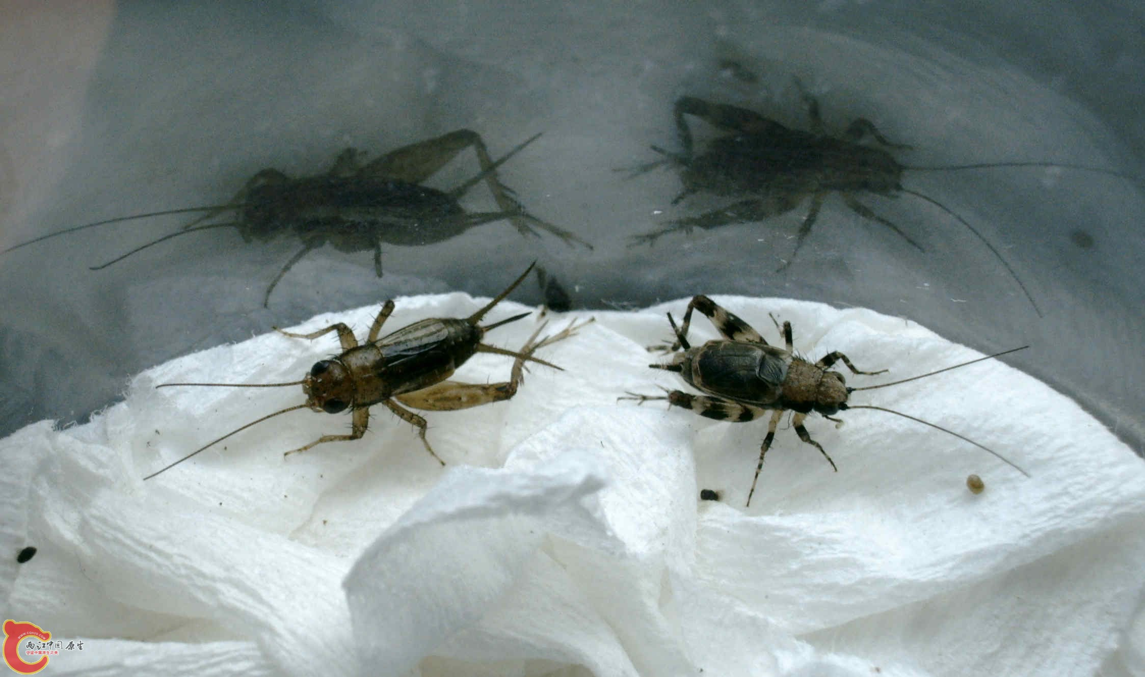 PHTO0096.jpg