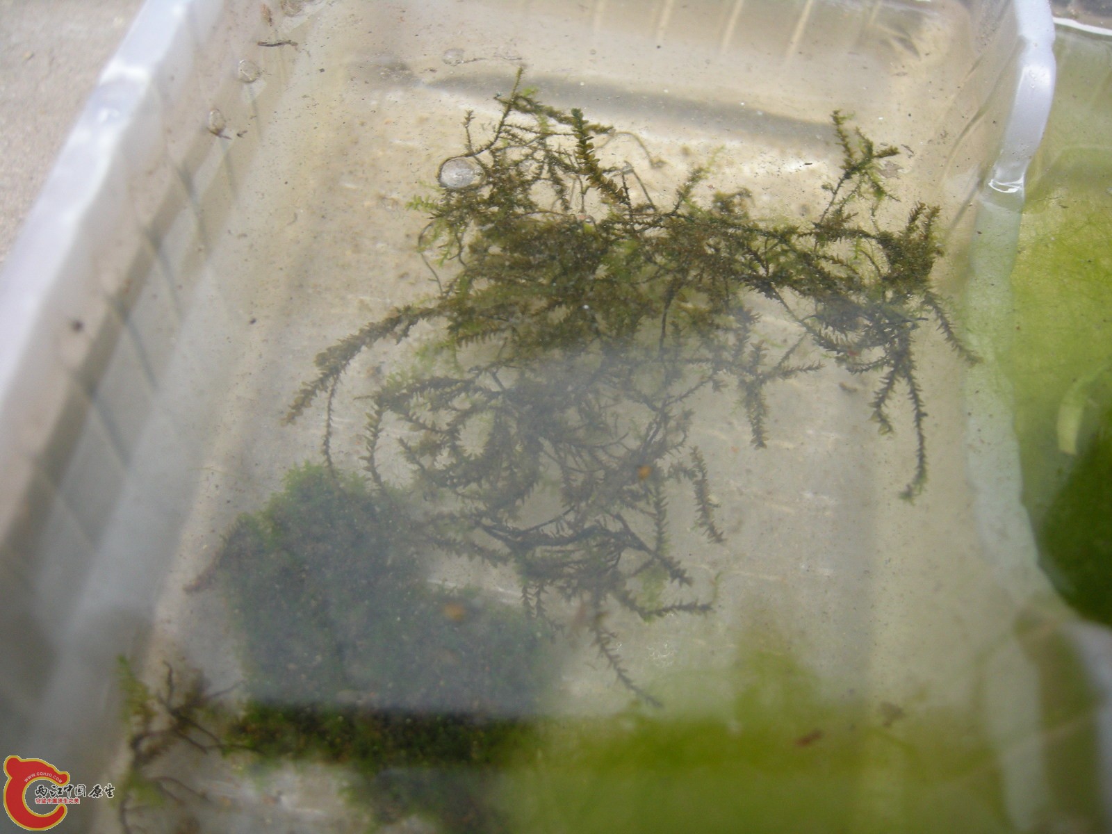 DSCN5014.JPG