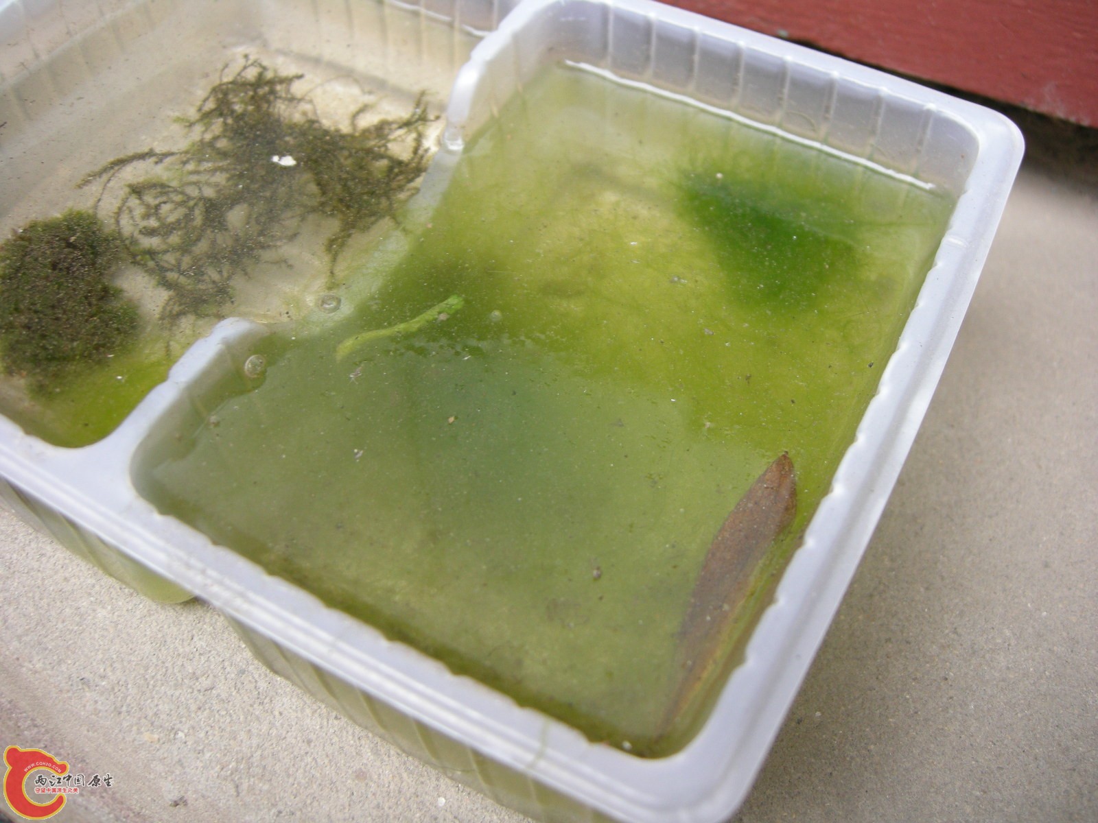 DSCN5013.JPG