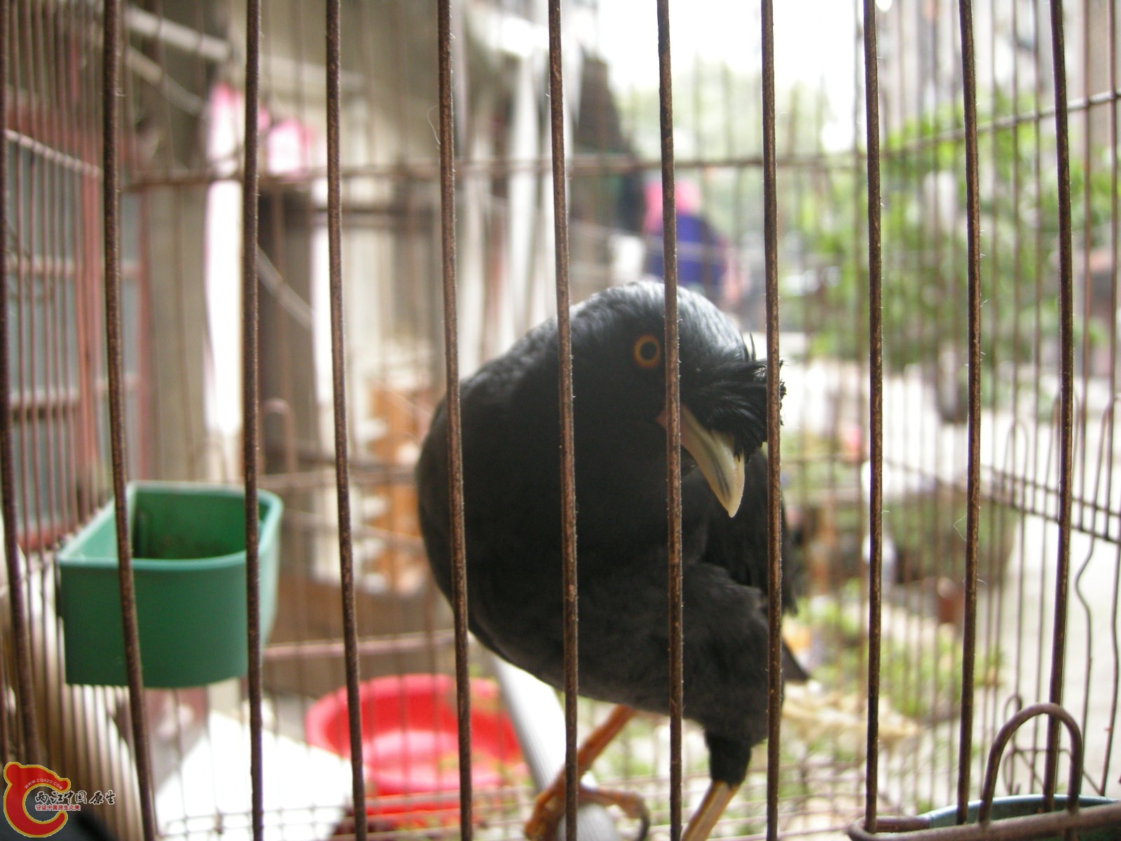 DSCN5011.JPG
