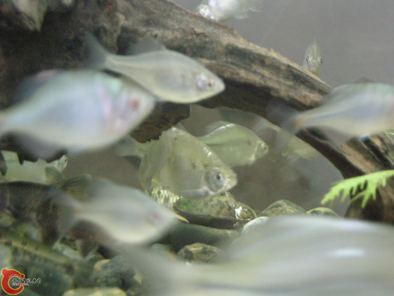 DSCN5022.JPG
