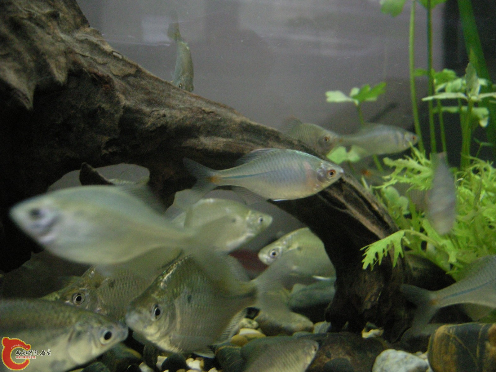 DSCN5025.JPG