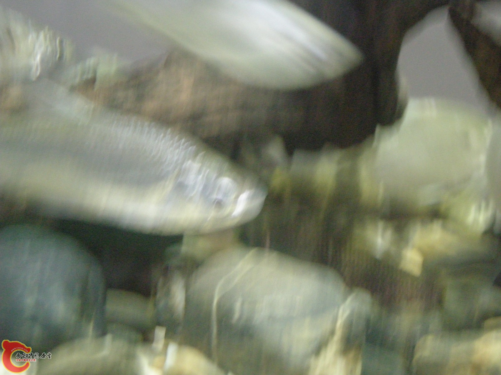 DSCN5024.JPG