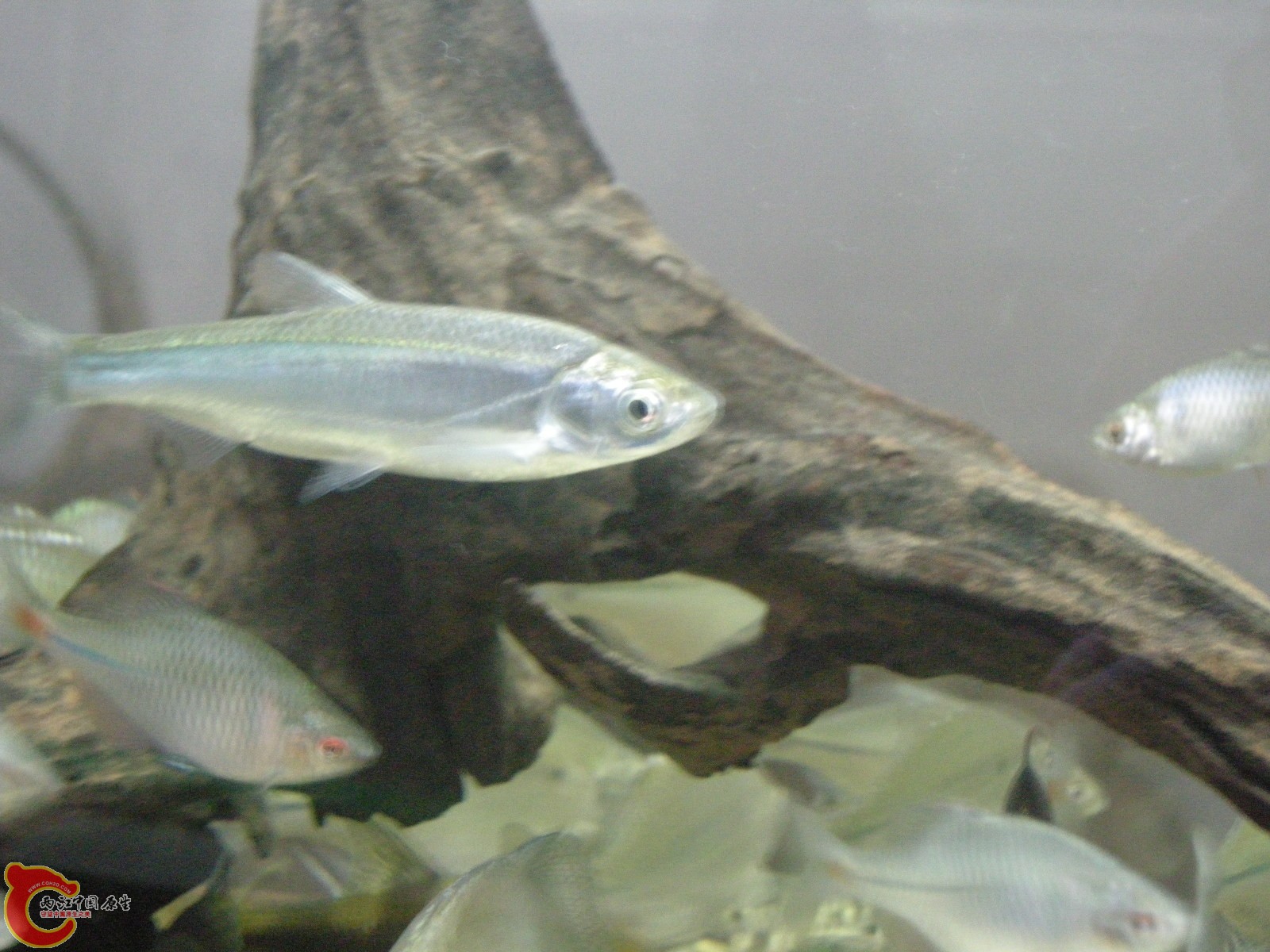 DSCN5021.JPG
