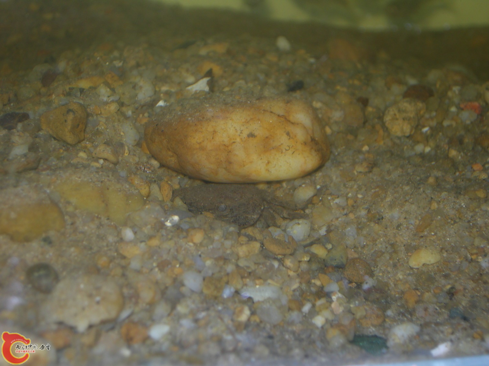 DSCN5038.JPG