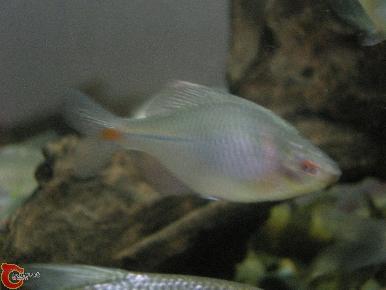 DSCN5027.JPG