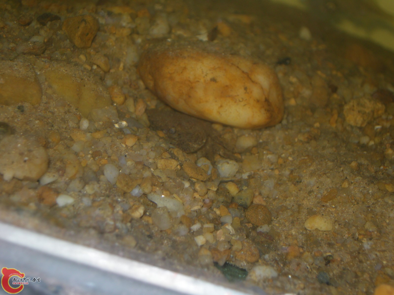 DSCN5036.JPG
