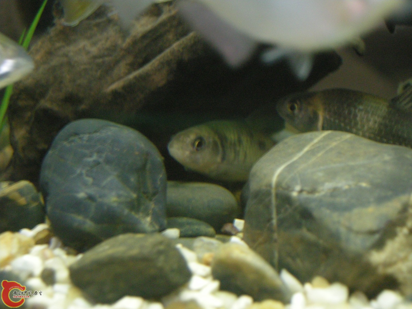 DSCN5032.JPG