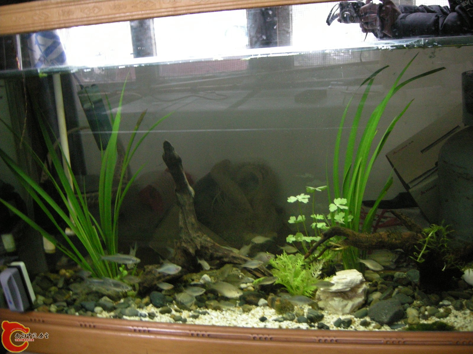 DSCN5029.JPG