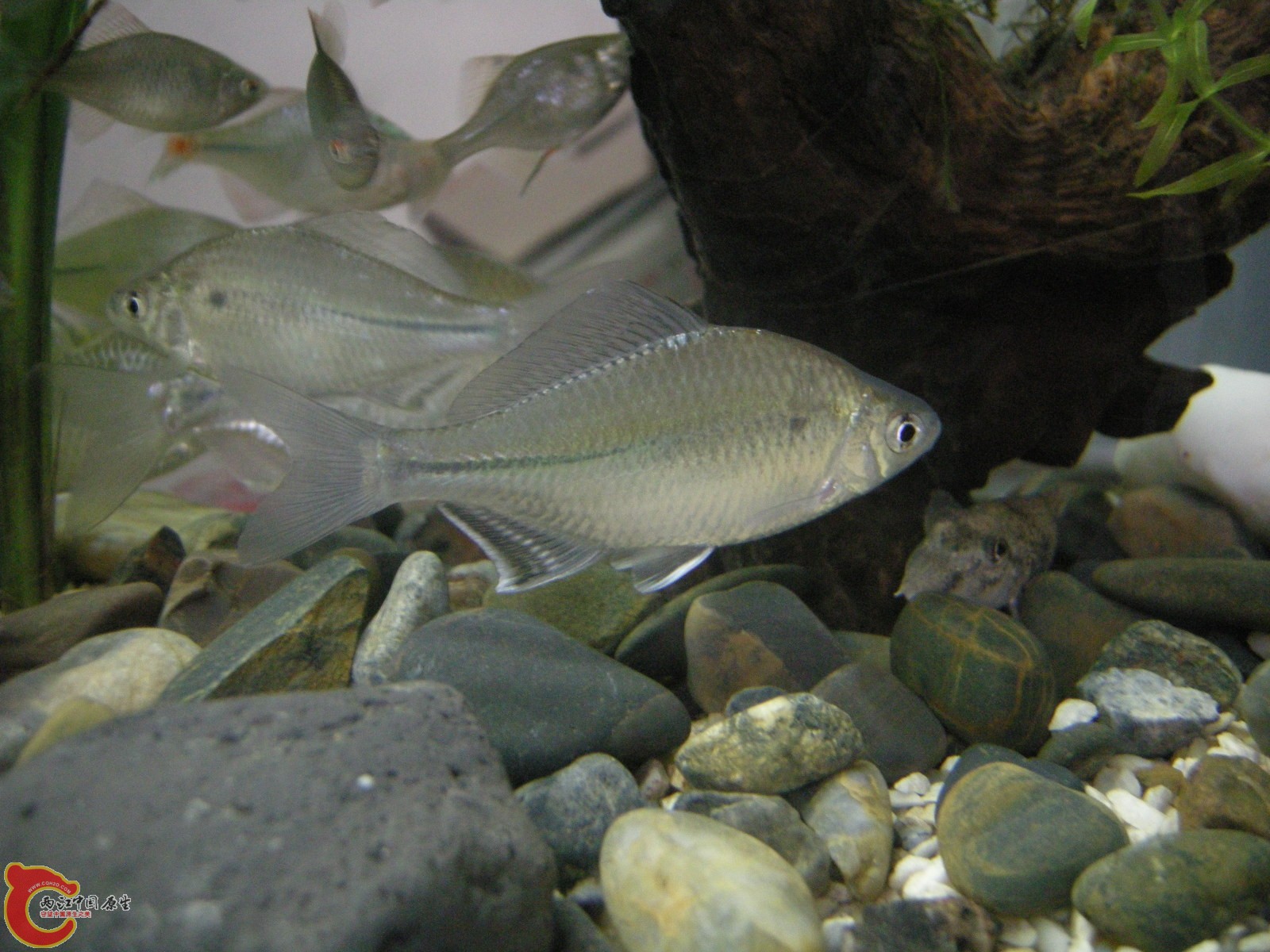 DSCN5046.JPG
