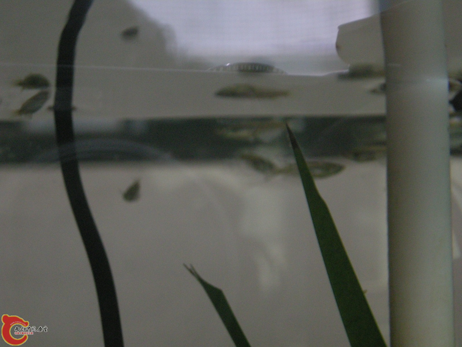 DSCN5041.JPG