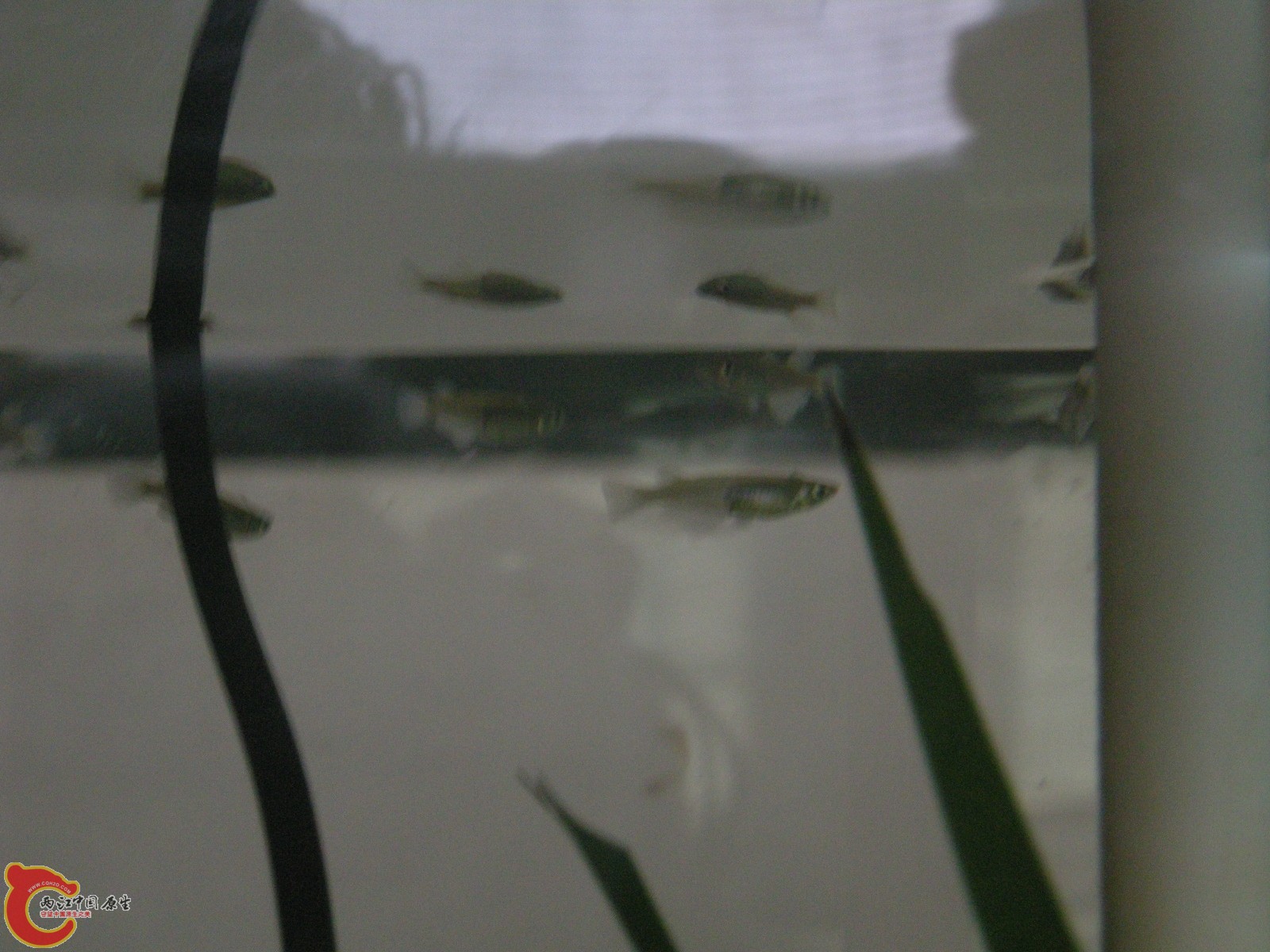 DSCN5040.JPG