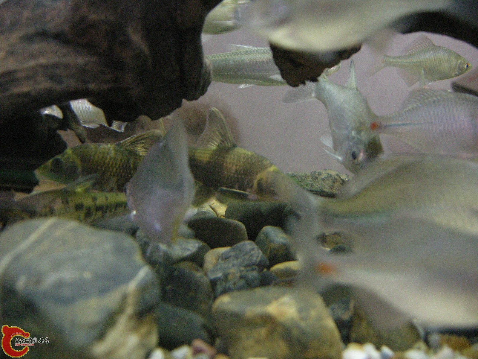 DSCN5048.JPG