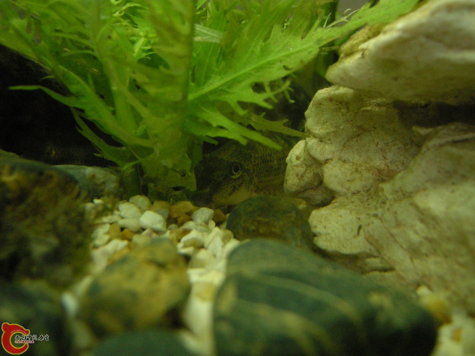 DSCN5058.JPG