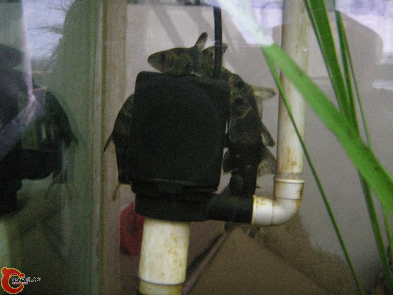 DSCN5055.JPG