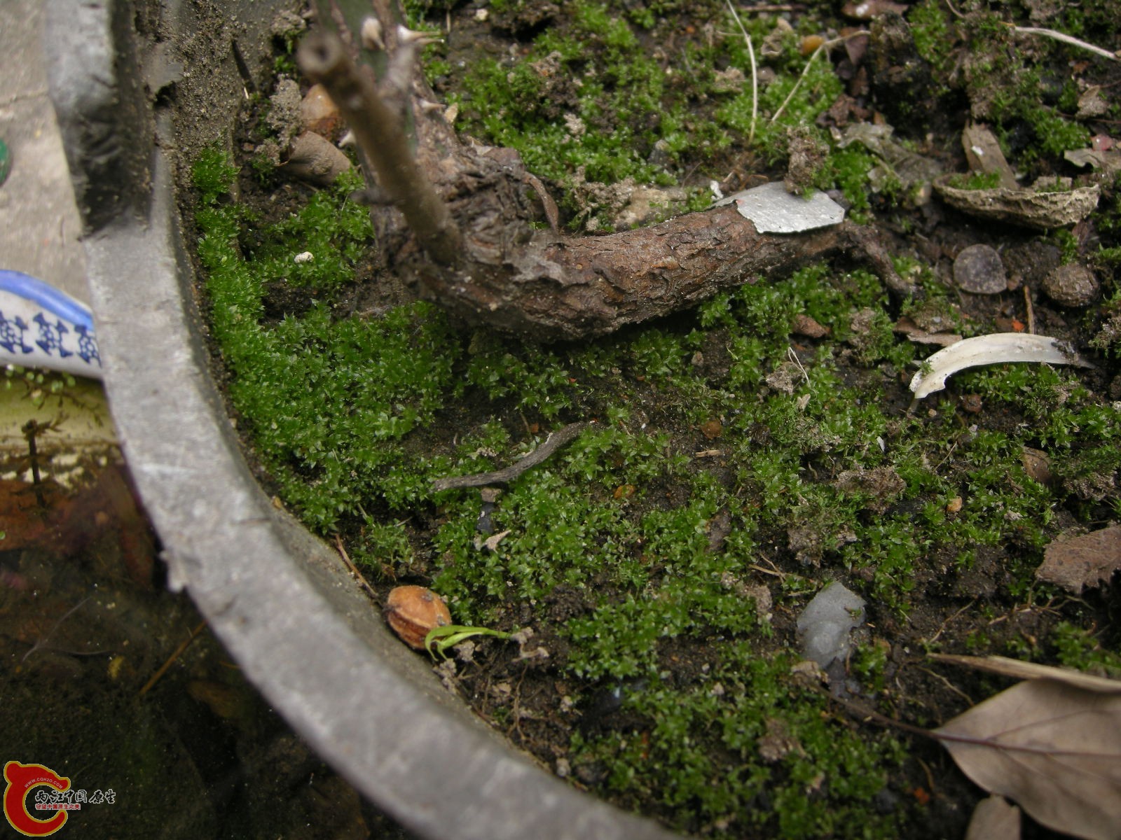 DSCN5059.JPG