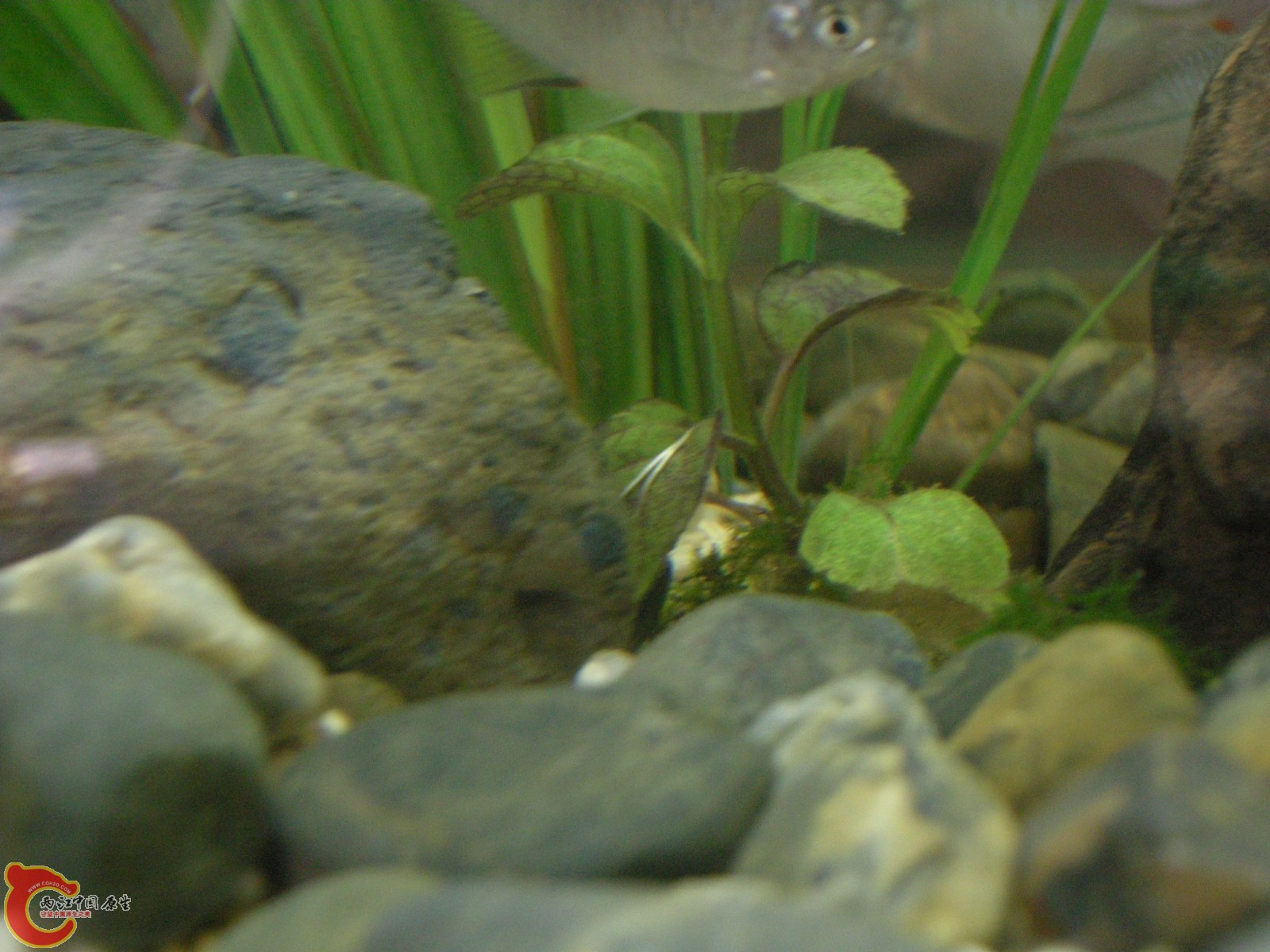 DSCN5054.JPG